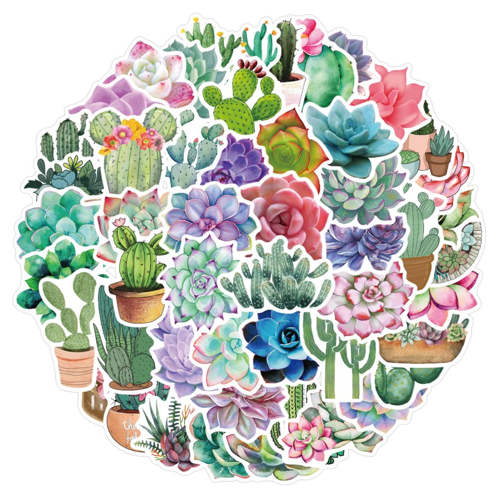 Autocollants succulents pour o - Laptop Accessories Girly avis et prix