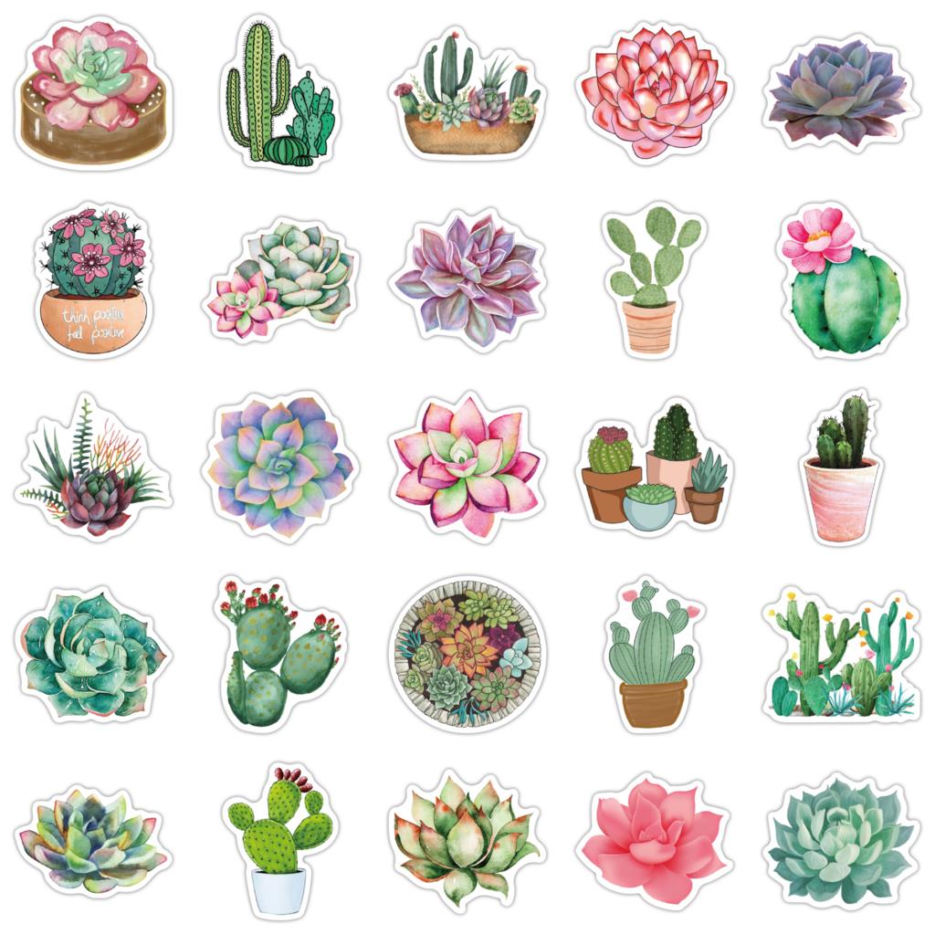 Autocollants succulents pour o - Laptop Accessories Girly avis et prix