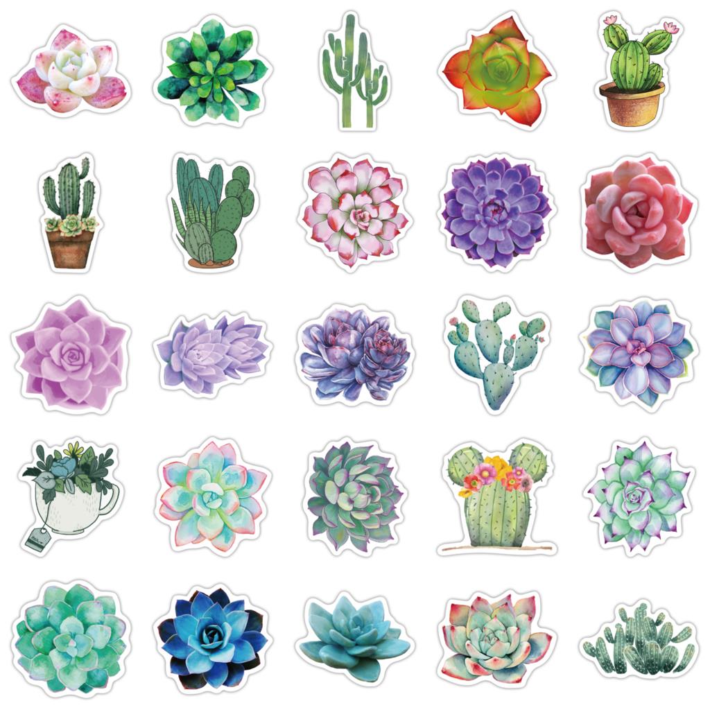 Autocollants succulents pour o - Laptop Accessories Girly avis et prix
