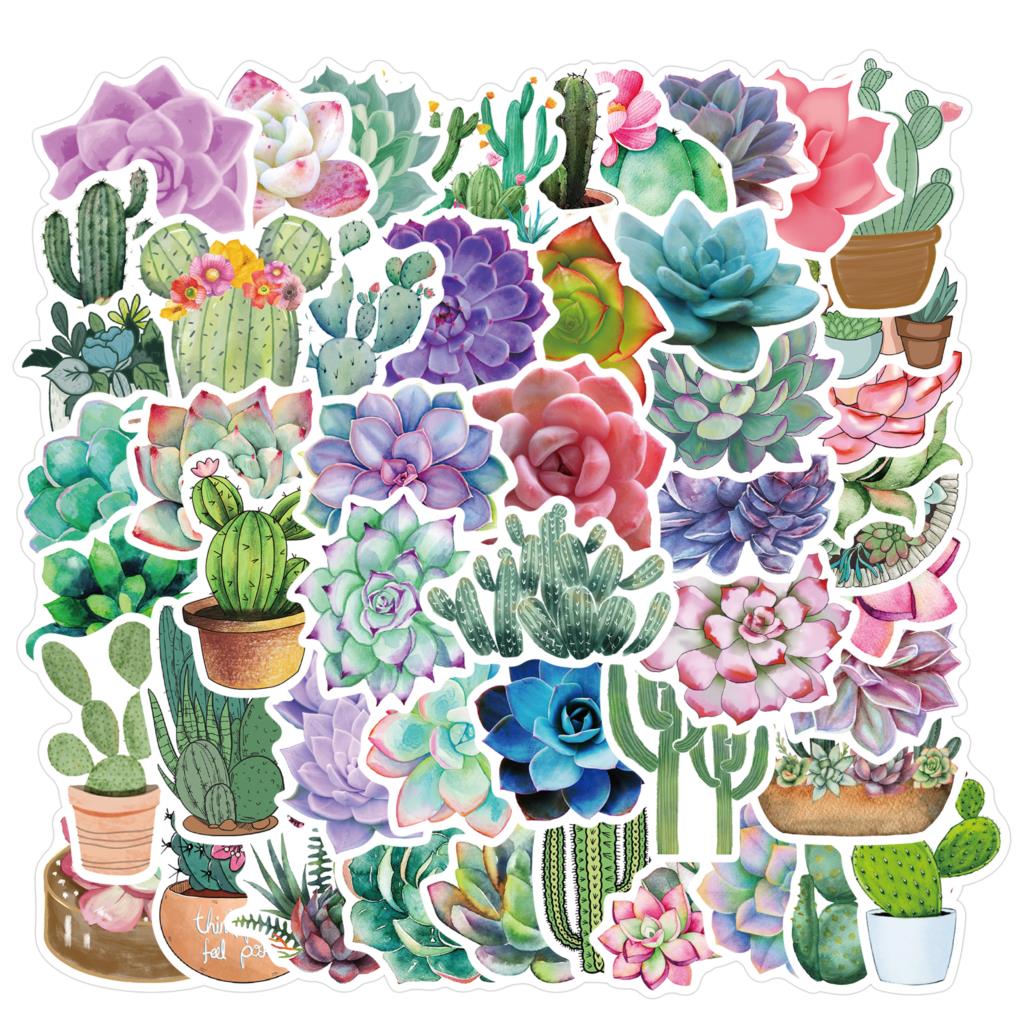 Autocollants succulents pour o - Laptop Accessories Girly avis et prix